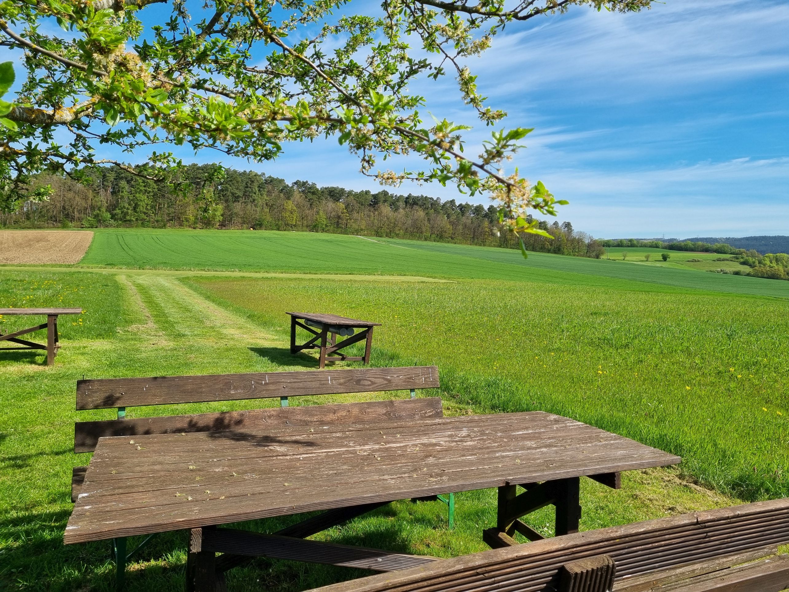 Bild Blick vom Aufenthaltsbereich Richtung Nord-Ost
