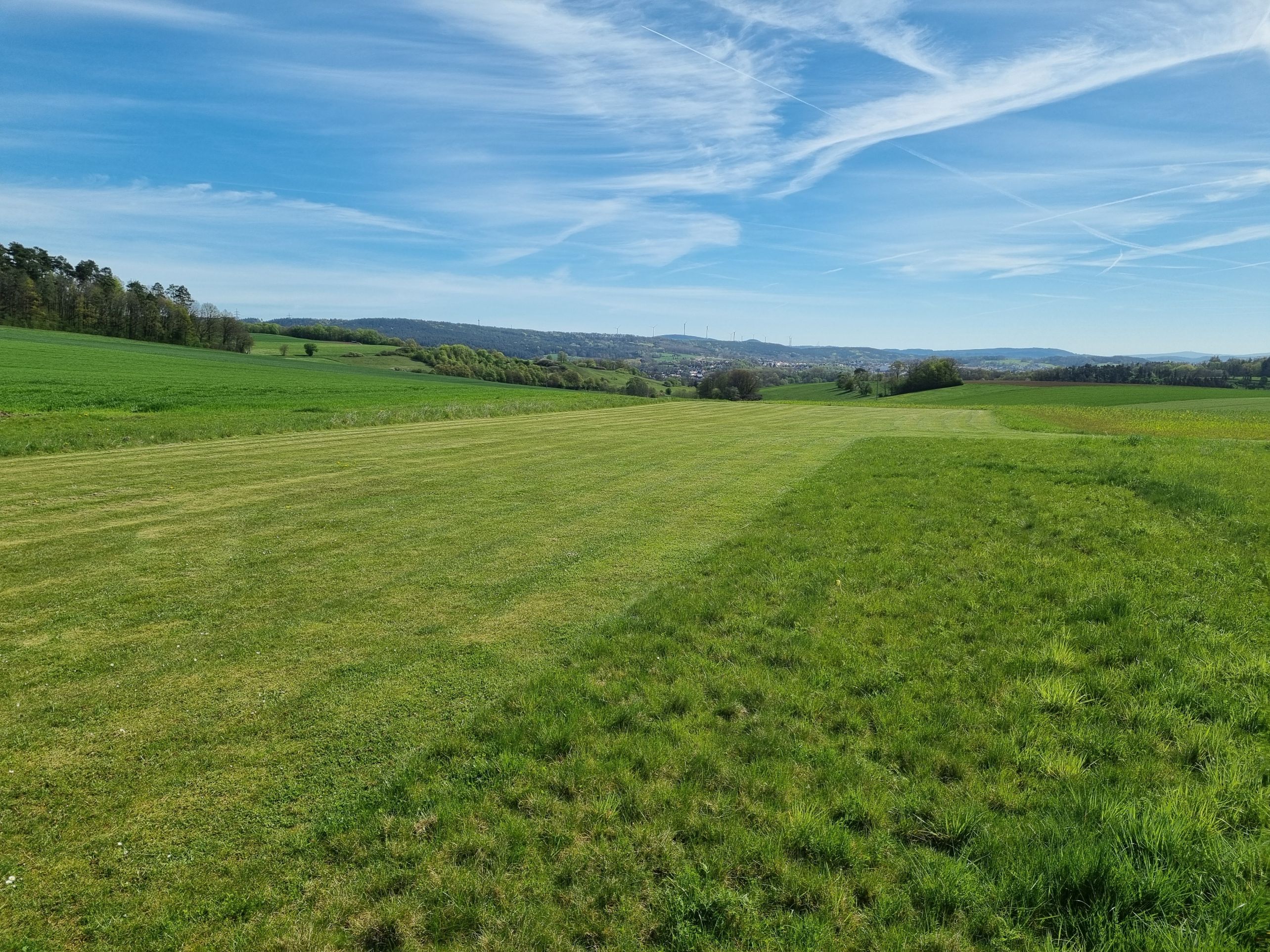 Bild Blick Landebahn vom Piloten nach Osten